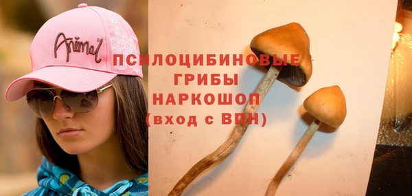 ПСИЛОЦИБИНОВЫЕ ГРИБЫ Краснослободск