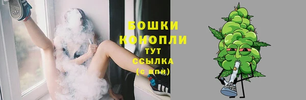 ПСИЛОЦИБИНОВЫЕ ГРИБЫ Краснослободск