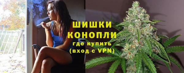 ПСИЛОЦИБИНОВЫЕ ГРИБЫ Краснослободск