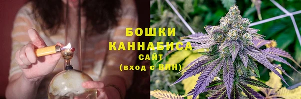 ПСИЛОЦИБИНОВЫЕ ГРИБЫ Краснослободск