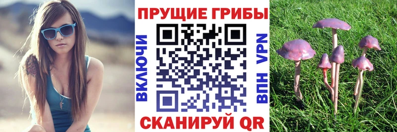Купить  Ахтубинск  Псилоцибиновые грибы прущие грибы 
